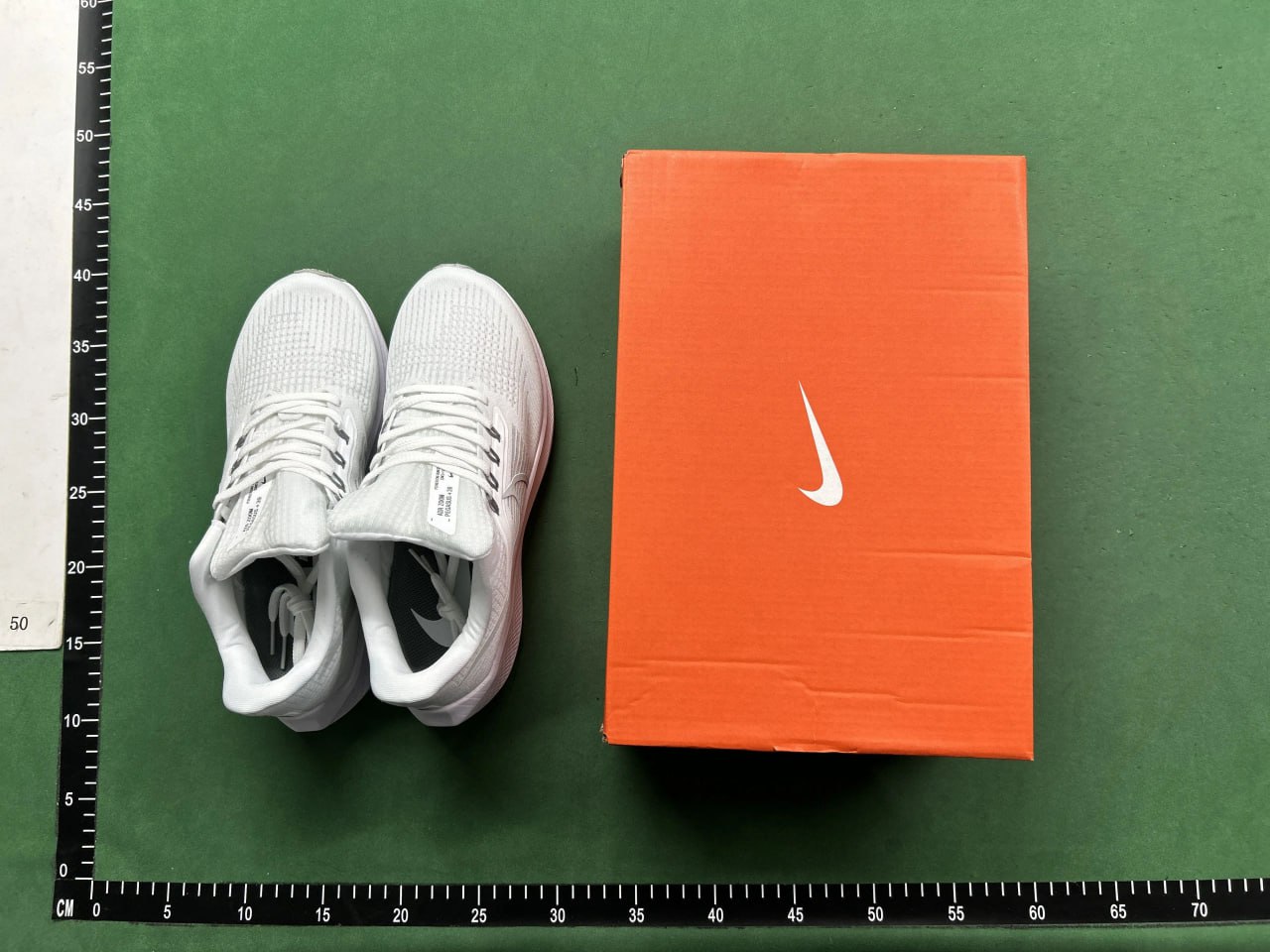 GOT-Pegasus 39 -4
