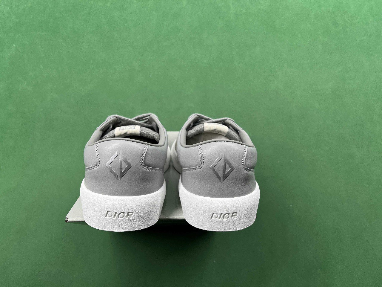 Dior B101 shoes -4