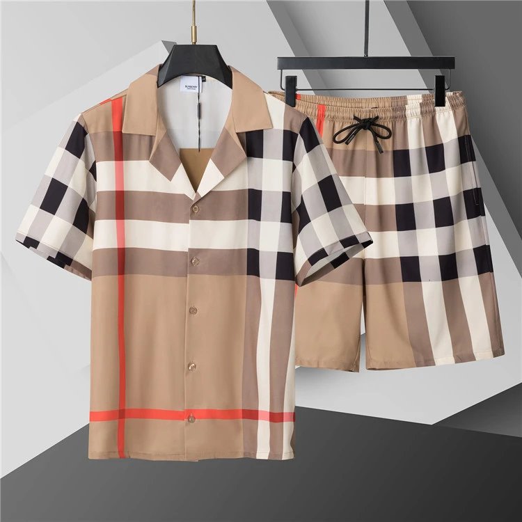 LV /Dior /Burberry Sets / T-shirt/shorts（40 styles） -2