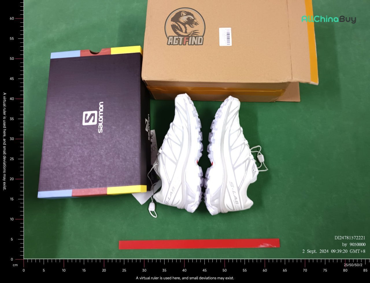 Salomon shoes -2