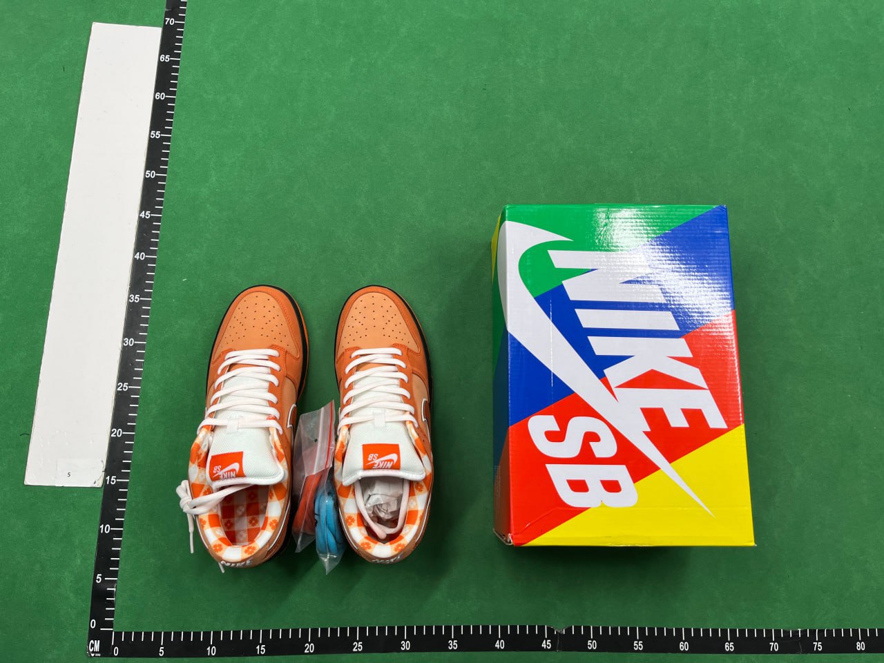 AY-DUNK B -4